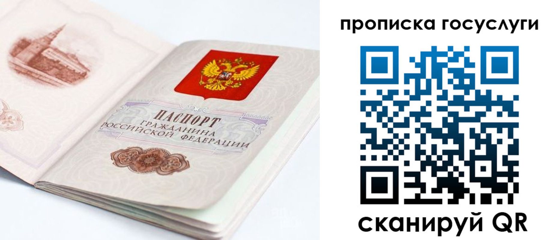 временная регистрация в Дорогобуже